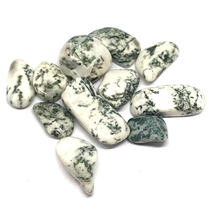 TREE AGATE TUMBLED STONE