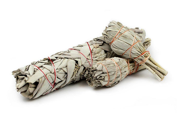 California White Sage