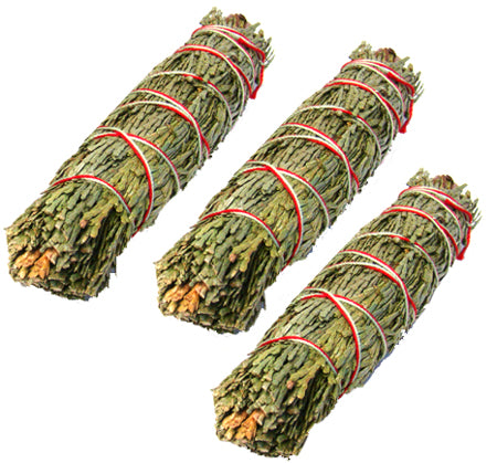 Cedar Sage